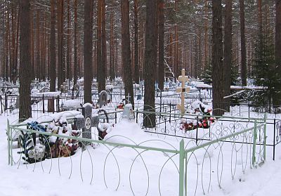 Cemetery in a pine forest.